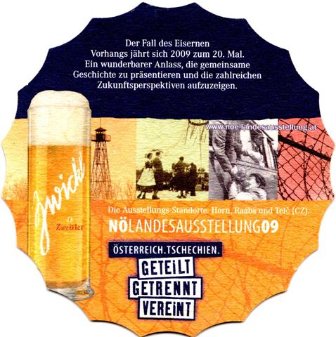 zwettl n�-a zwettler kunst 2009 2b (sofo210-der fall des)